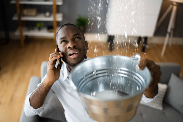 Best Ceiling water damage repair  in Goodman, MS