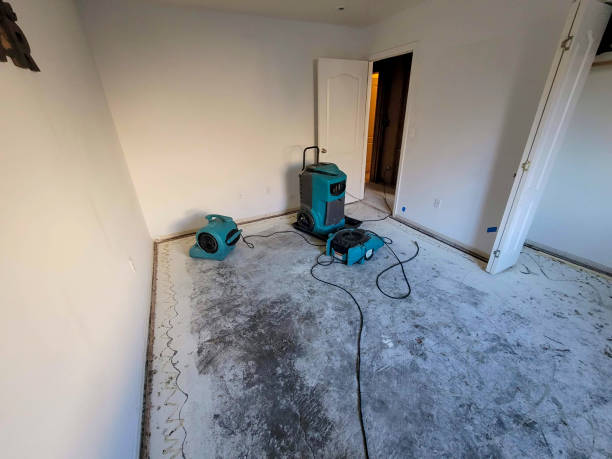  Goodman, MS Water damage restoration Pros
