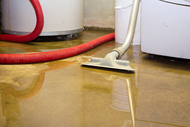Best Water damage restoration near me  in Goodman, MS
