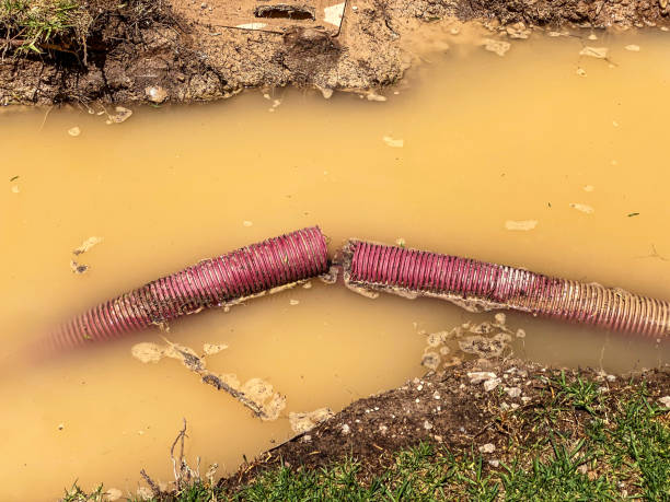 Best Water damage contractors near me  in Goodman, MS